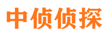 四方台市侦探调查公司